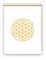 Preview: Rollo Blume des Lebens  dark orange  blanco - Sichtschutz Extartiqe